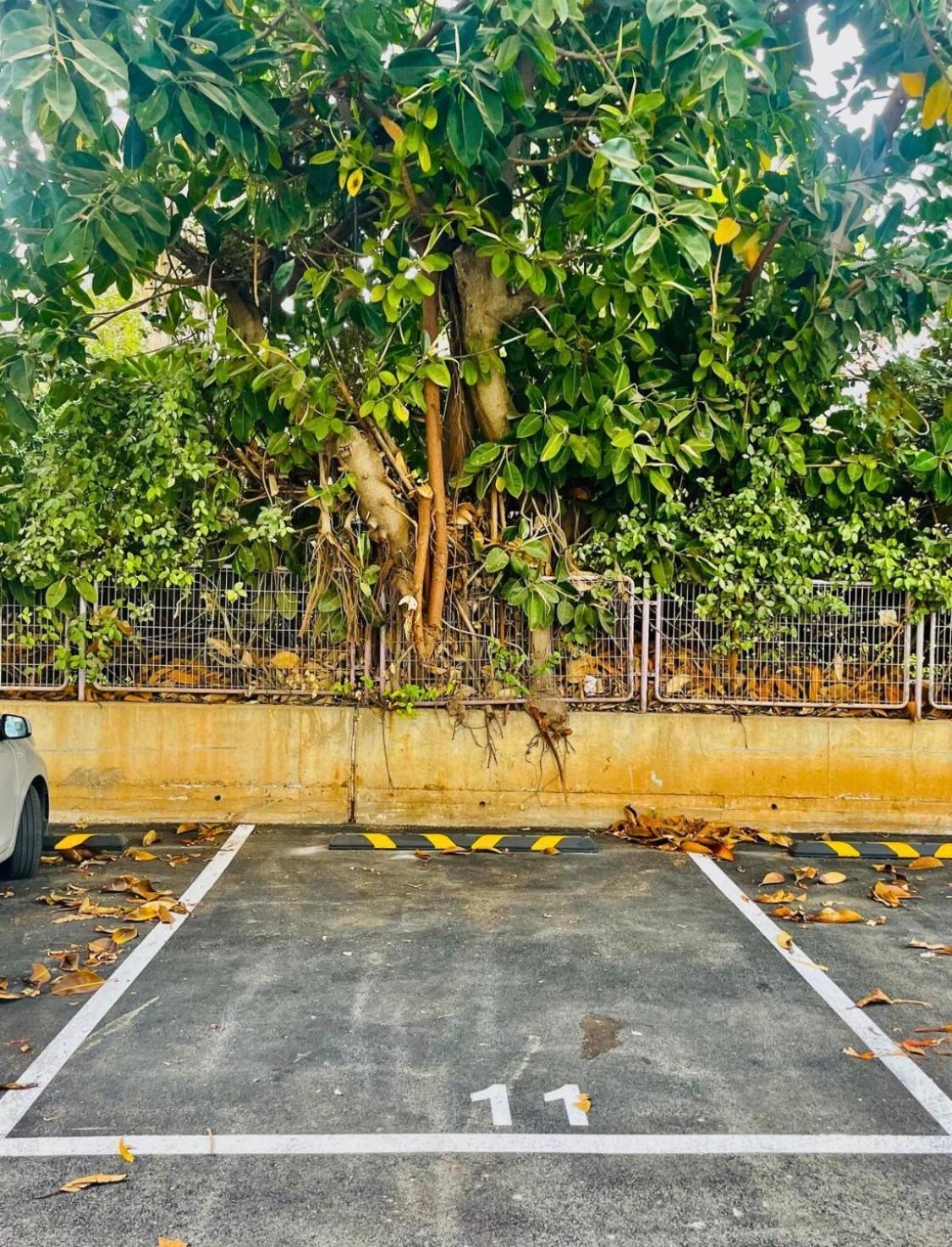 High-End Apartment , With A Private Parking And An Elavator Tel Aviv Ngoại thất bức ảnh